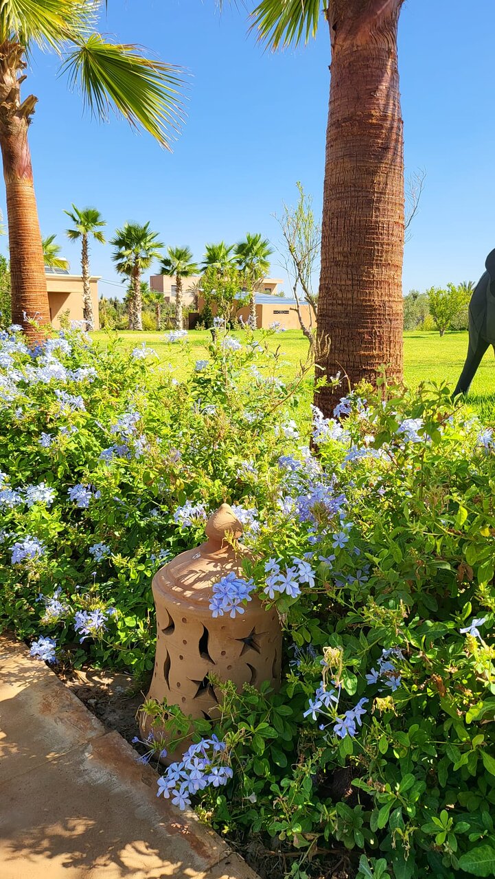 Green Worldwide tours